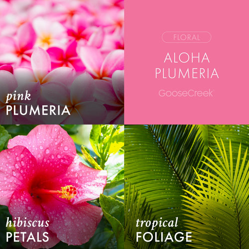 Aloha Plumeria 3-Wick Candle