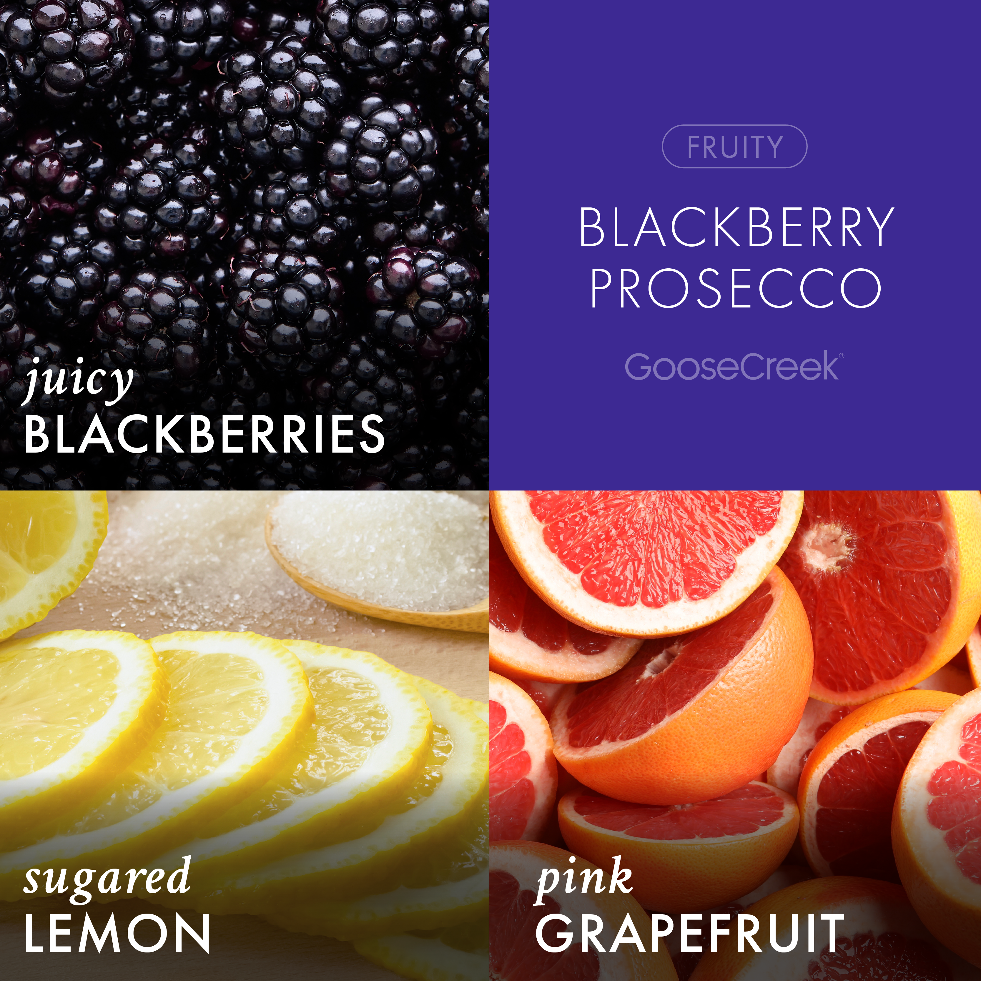 Blackberry Prosecco 3-Wick Candle