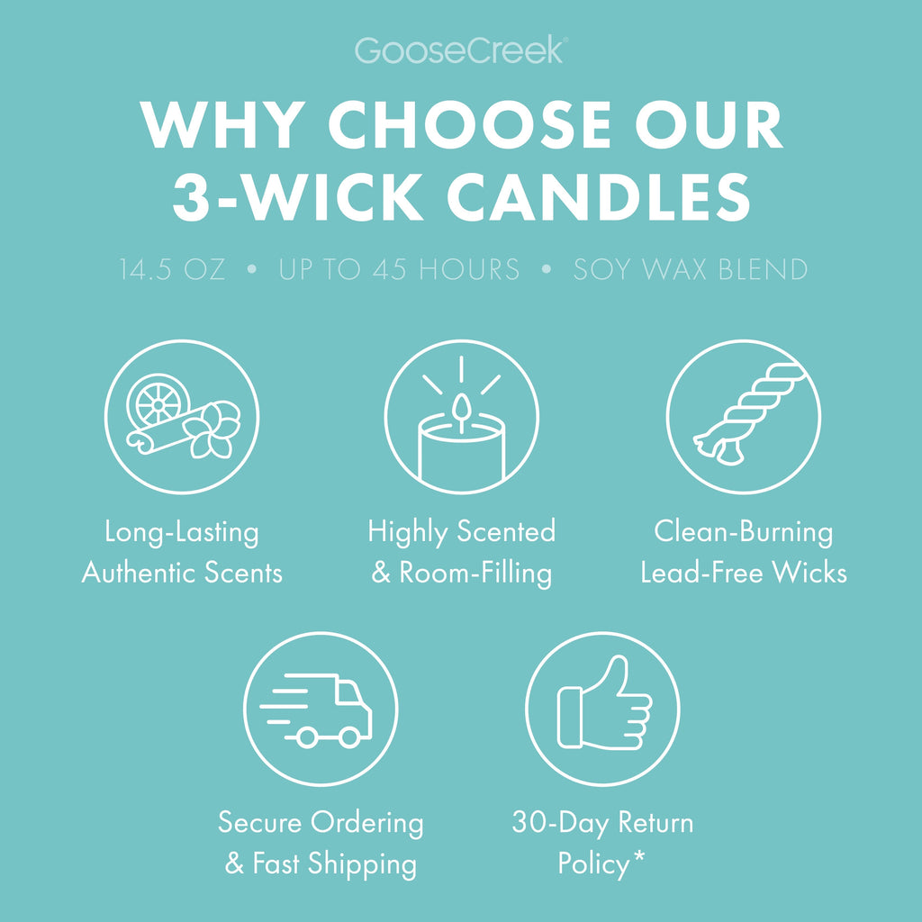 Blueberry Limeade 3-Wick Candle