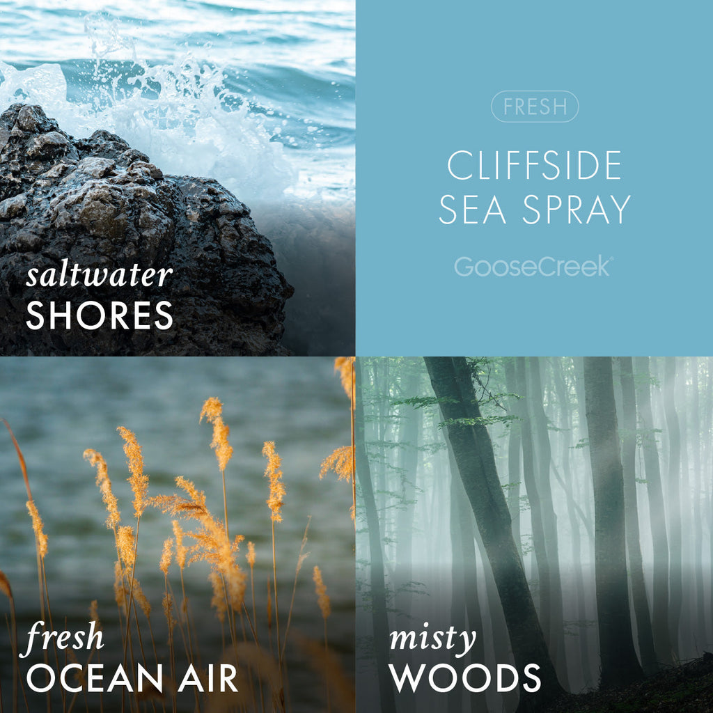 Cliffside Sea Spray Odor Eliminating 3-Wick Candle