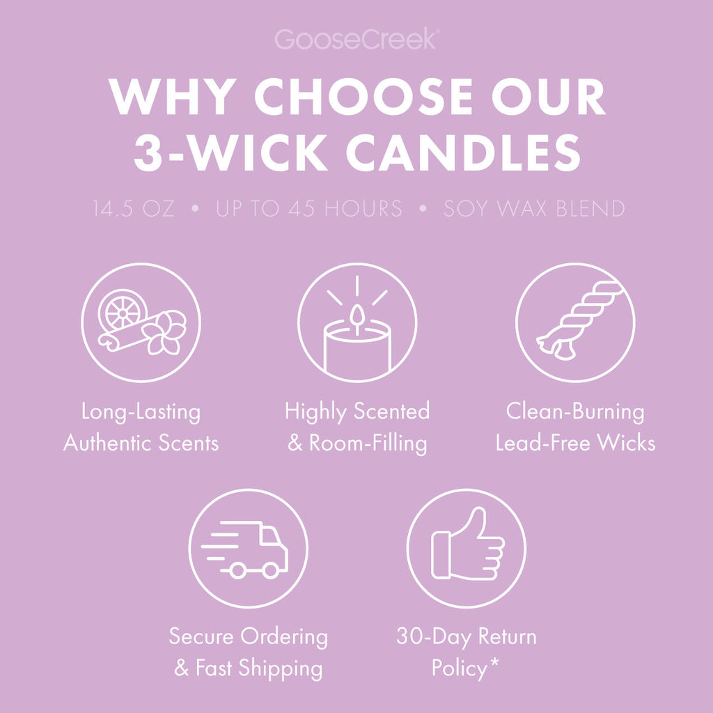 Grape Soda 3-Wick Candle