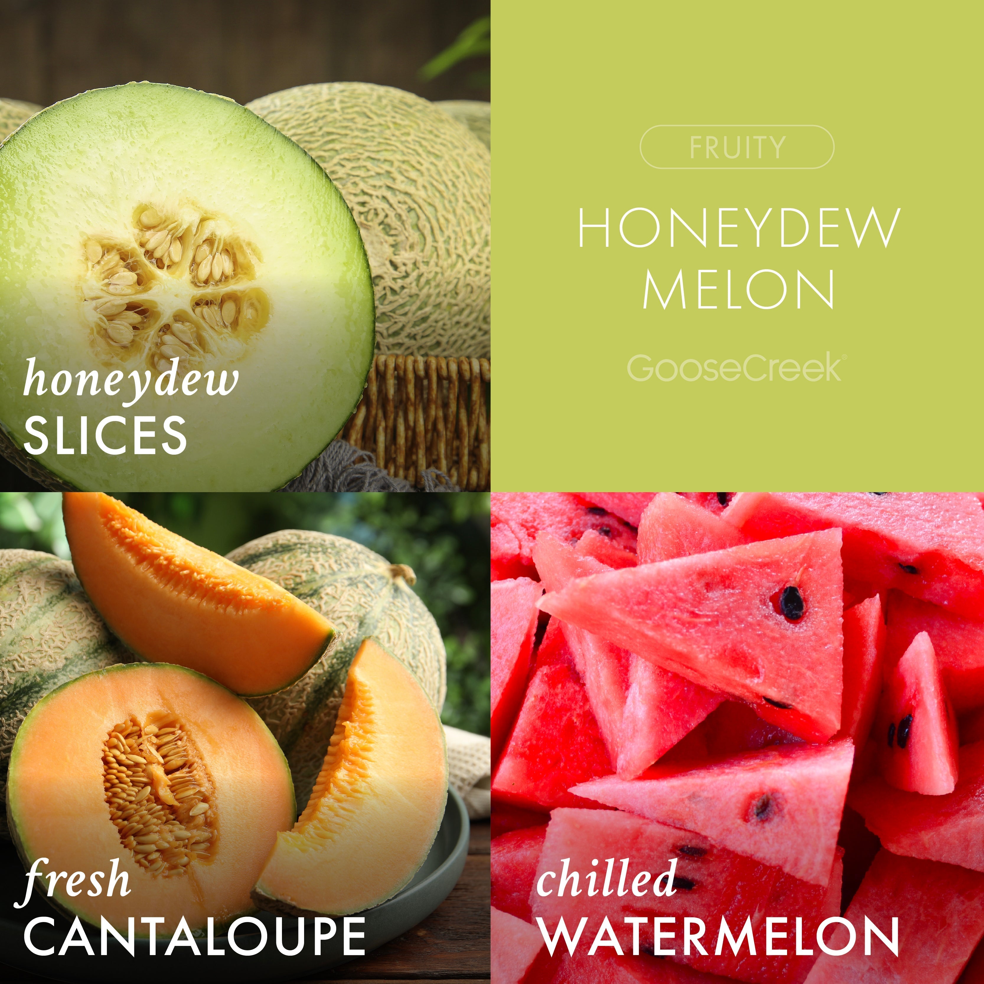 Honeydew Melon 3-Wick Candle