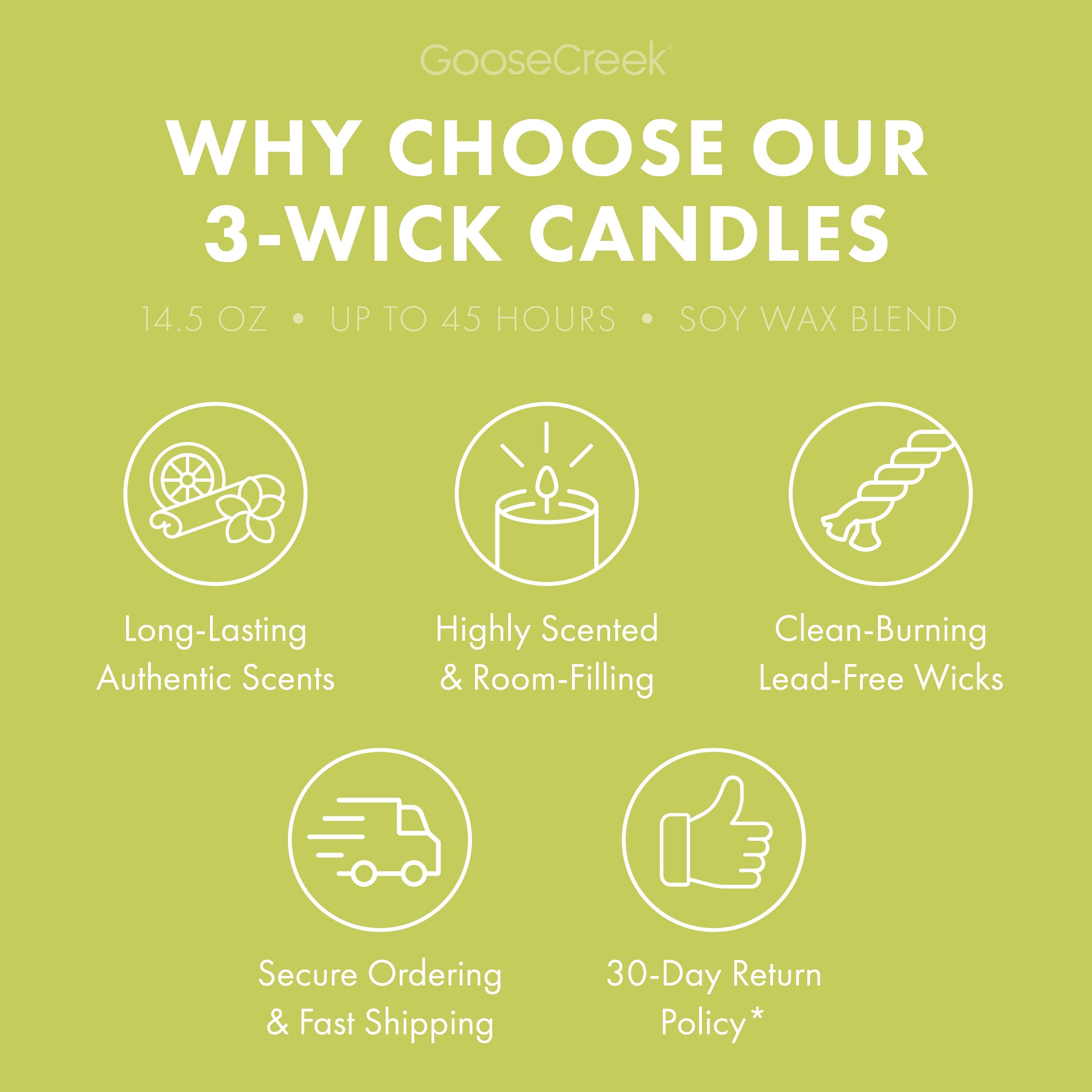 Honeydew Melon 3-Wick Candle