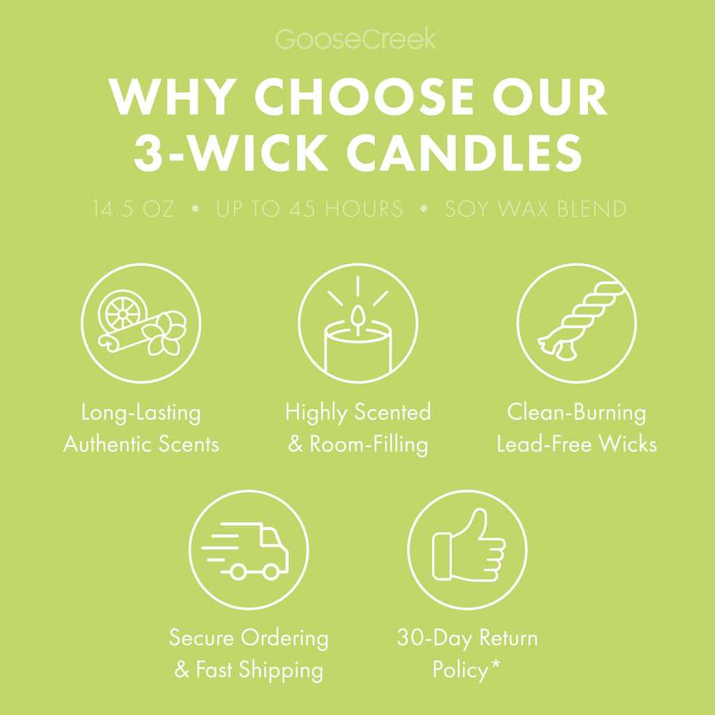Patchouli Leaves 3-Wick Candle