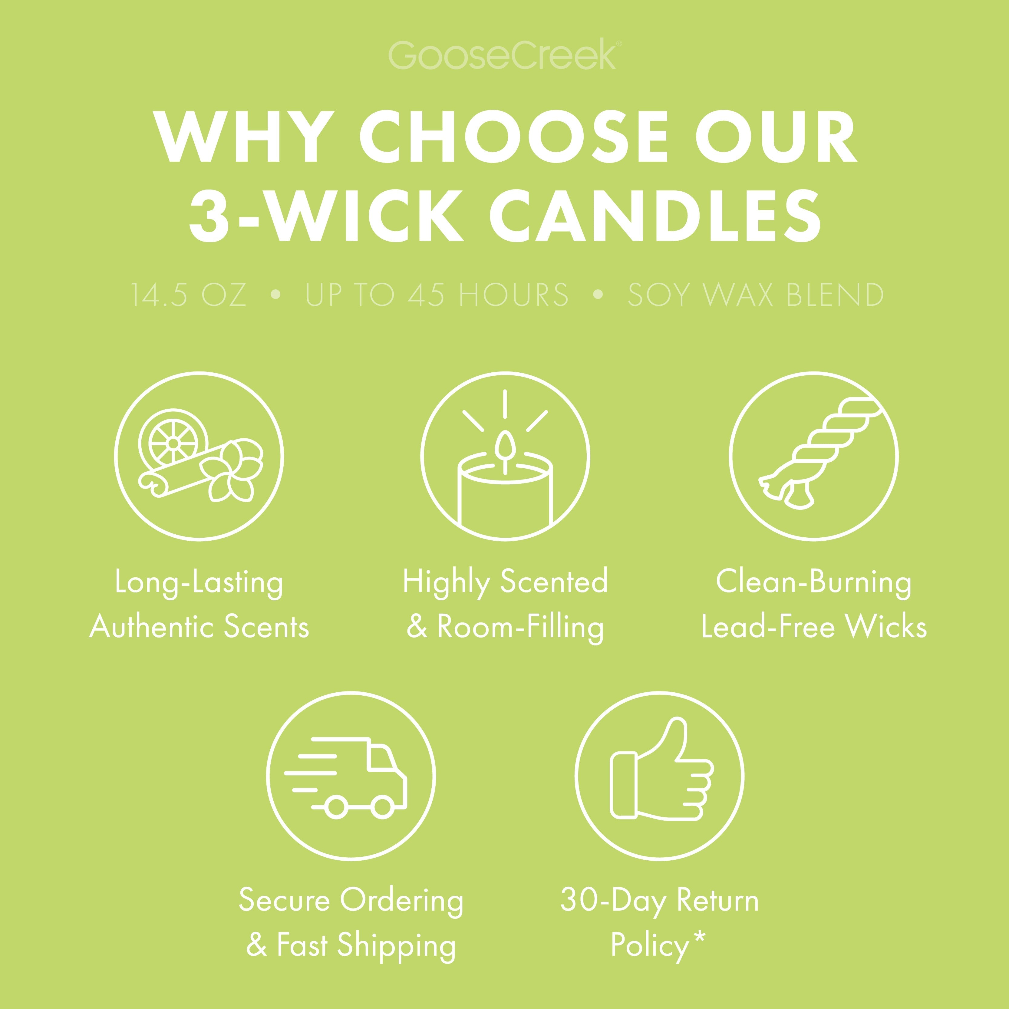 Patchouli Leaves 3-Wick Candle