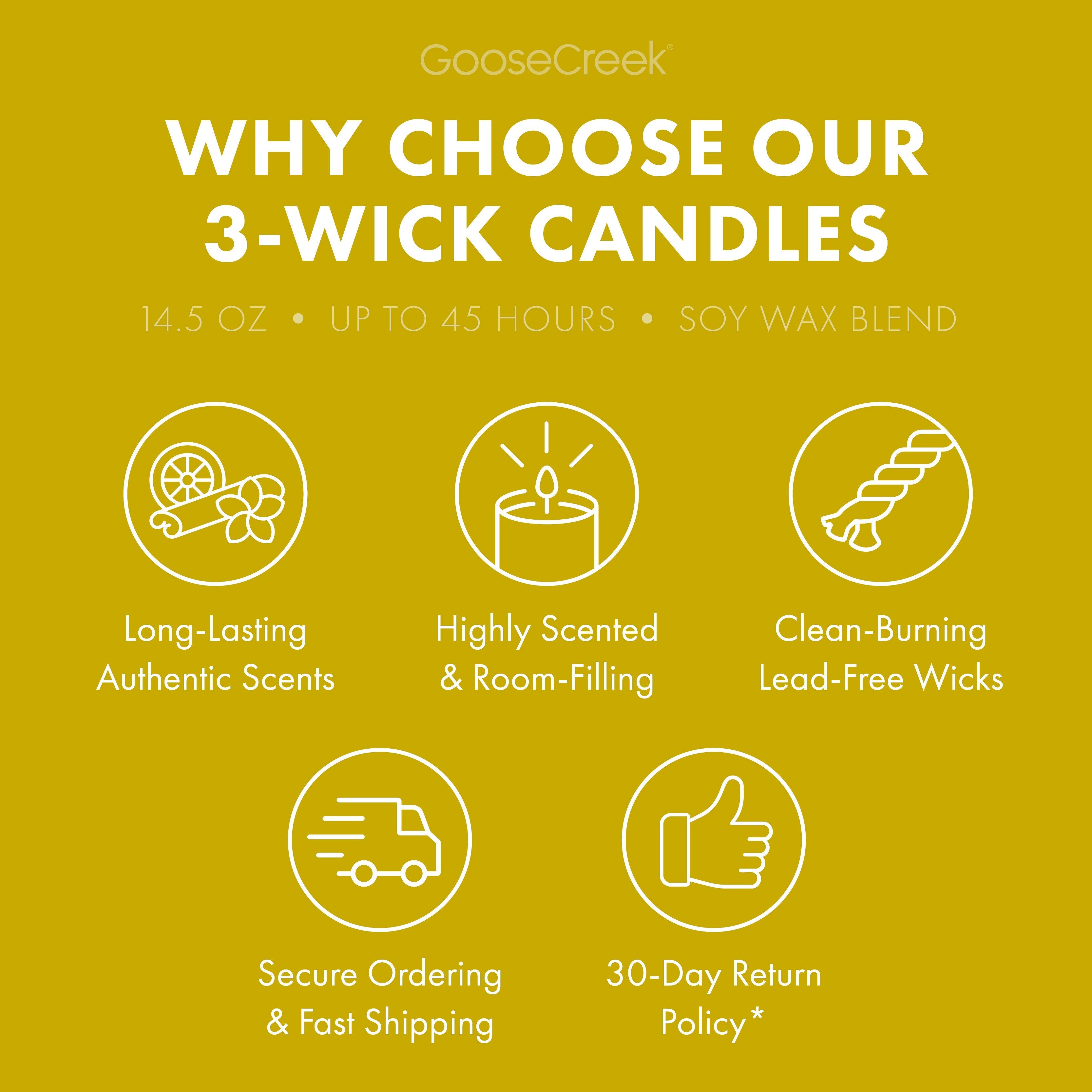 Pina Colada 3-Wick Candle