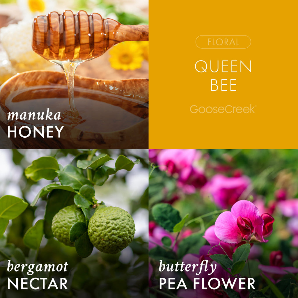Queen Bee 3-Wick Candle