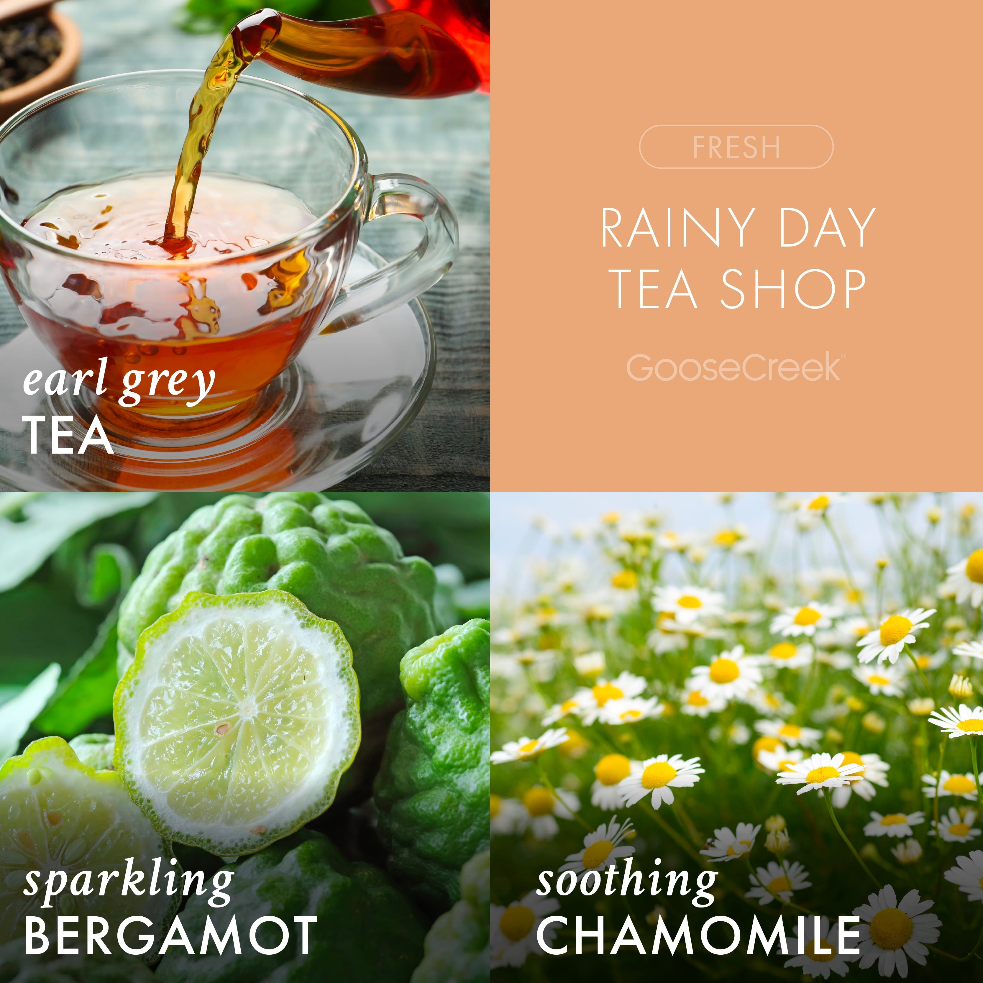 Rainy Day Tea Shop 3-Wick Candle