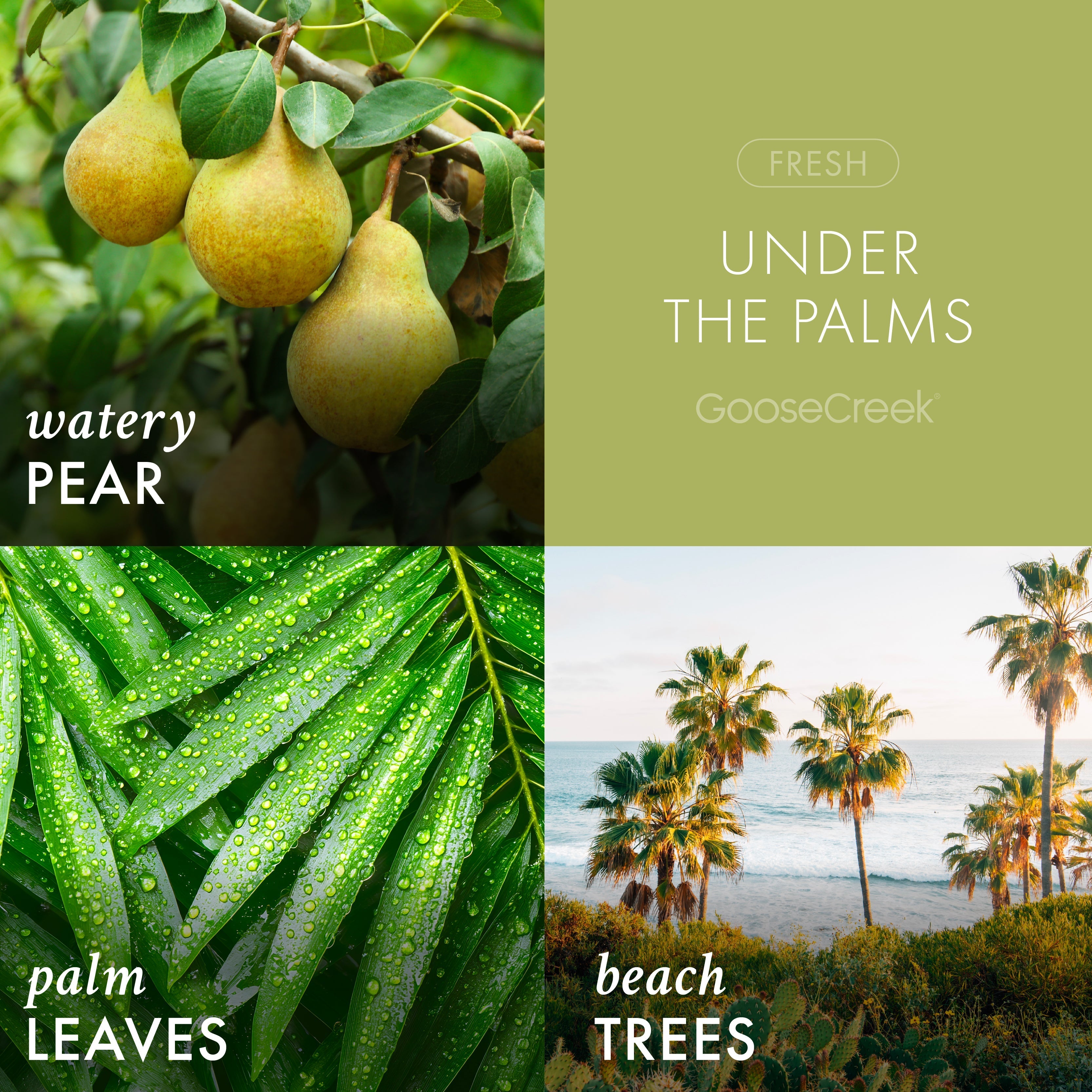 Under the Palms 3-Wick Candle