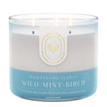 Wild Mint & Birch Aromatherapy 3-Wick Candle